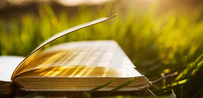 artigo: A Cultura Espiritual