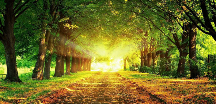 mensagem: A Caminho da Luz